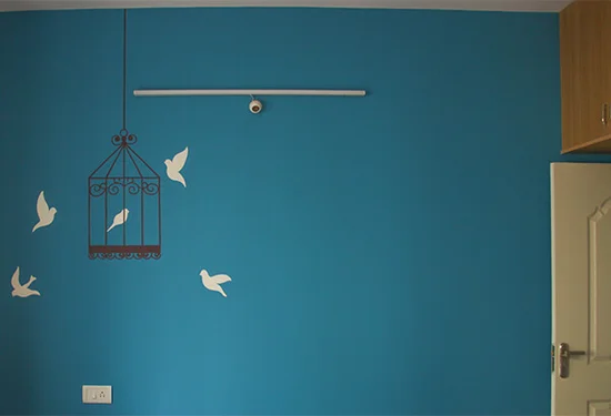 Bird in cage - Aapka Painter