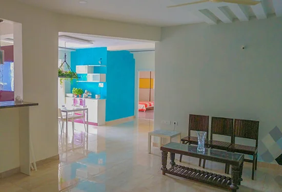 Ice Blue - Recent Projects - Aapka Painter